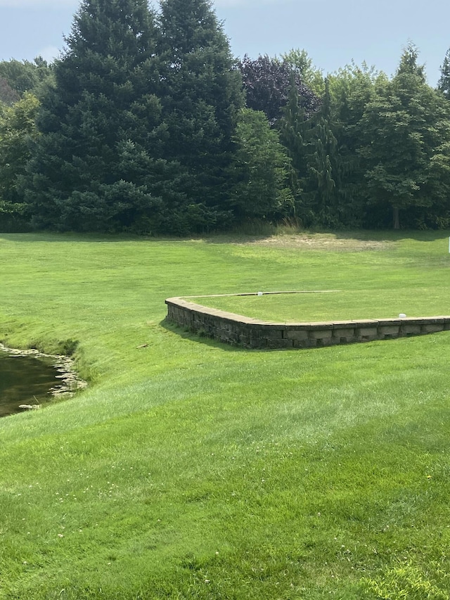 view of property's community featuring a yard