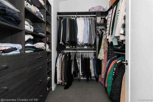 view of spacious closet