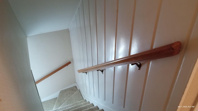 staircase featuring carpet floors