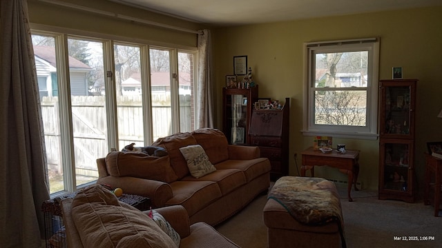 living area featuring carpet