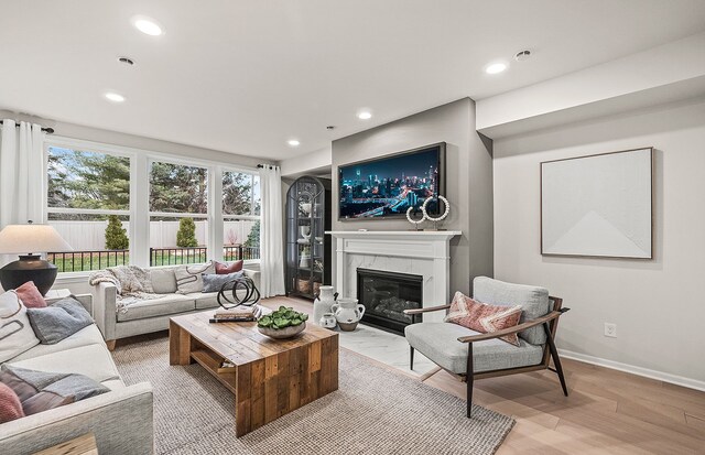 living room featuring light hardwood / wood-style floors and a premium fireplace