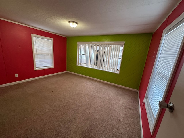 empty room featuring carpet and a textured ceiling