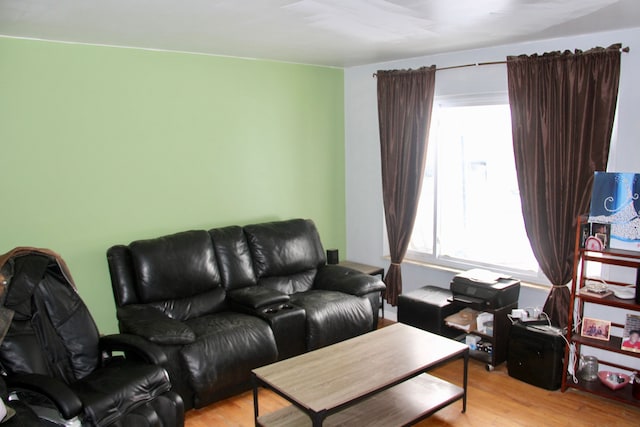 living room with light wood-type flooring