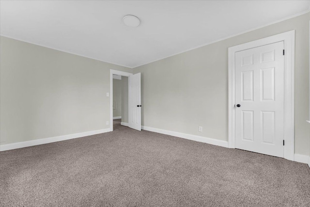 spare room with carpet