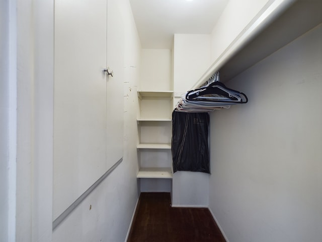 spacious closet featuring dark wood-type flooring