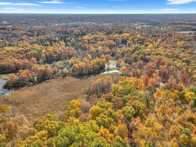 drone / aerial view