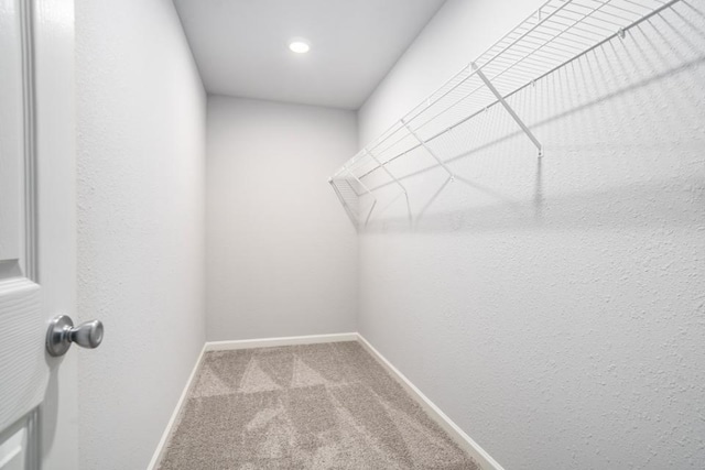 spacious closet featuring carpet floors