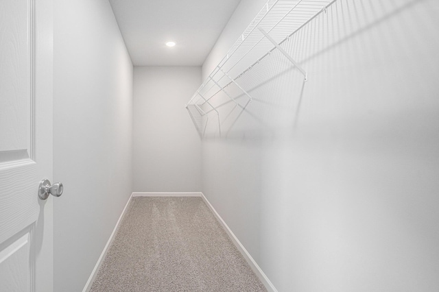 8745 E Sturtevant Ave, Richland, MI 49083 - spacious closet with carpet flooring