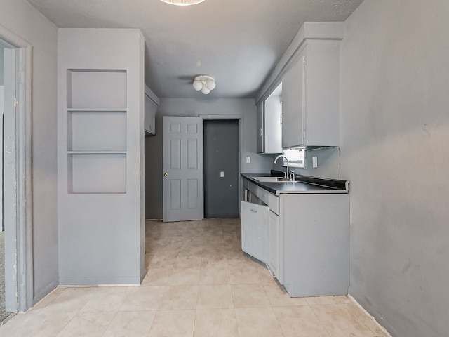 kitchen with built in shelves and sink