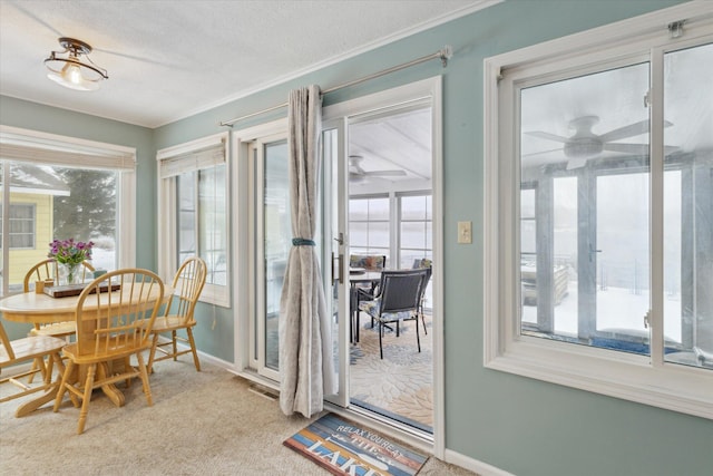 interior space featuring light carpet, ceiling fan, and a textured ceiling