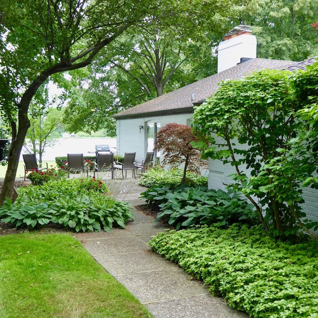 view of yard featuring a patio