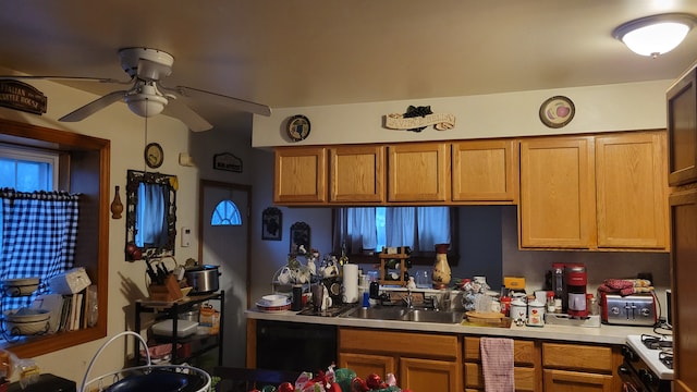 kitchen featuring range, ceiling fan, and sink