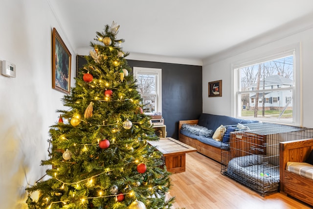 living room featuring light hardwood / wood-style floors