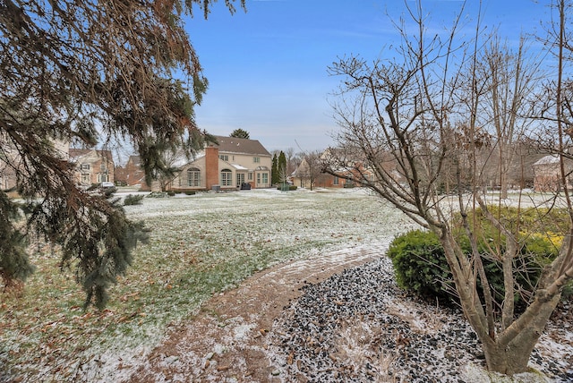 view of snowy yard