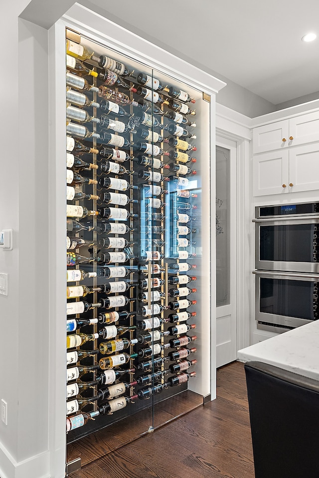 wine area with electric panel and dark hardwood / wood-style floors