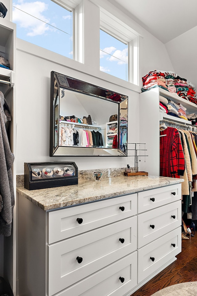 walk in closet with dark hardwood / wood-style flooring