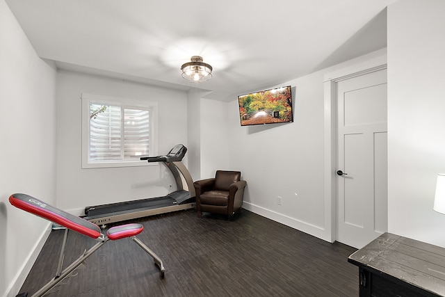 workout area featuring dark hardwood / wood-style flooring