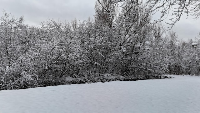 view of snow covered land