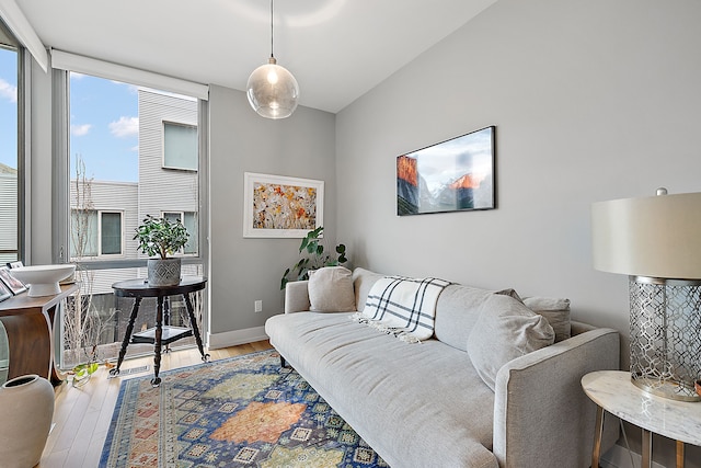 living room featuring wood-type flooring