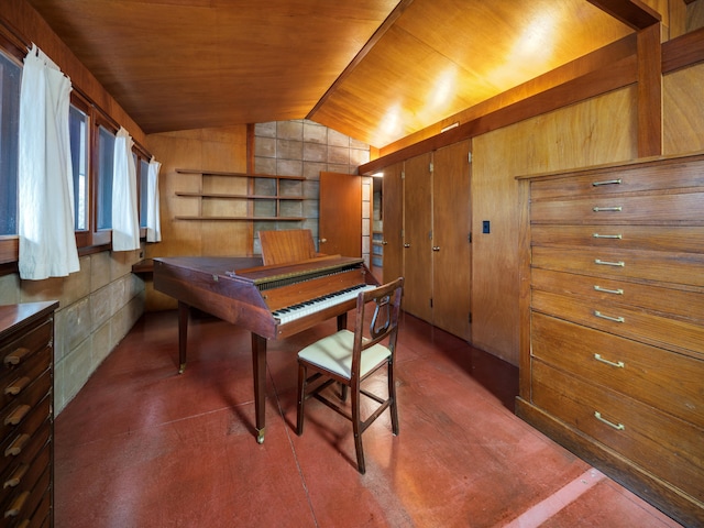 playroom featuring built in shelves, lofted ceiling, wood ceiling, and wooden walls