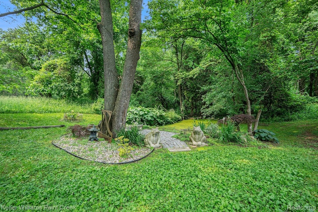 11185 Hawthorne Dr, Galesburg, MI 49053 - photo 10