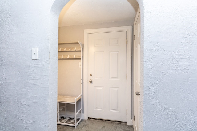 interior space featuring carpet