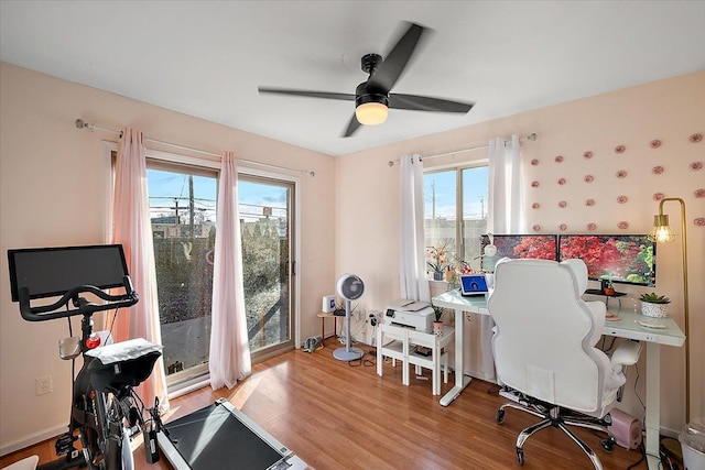 office space with ceiling fan and light hardwood / wood-style flooring