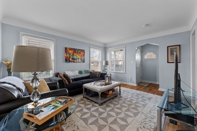 living room with light hardwood / wood-style floors