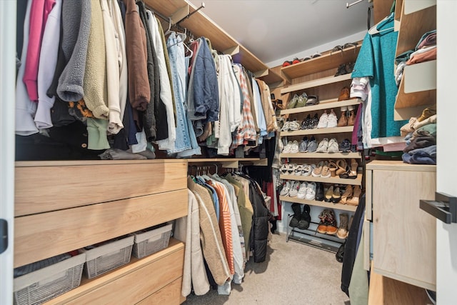 spacious closet featuring light colored carpet