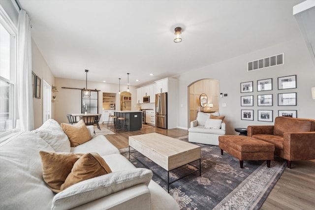 living room featuring a healthy amount of sunlight, wood-type flooring, and sink