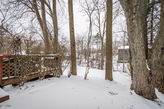 view of snowy yard