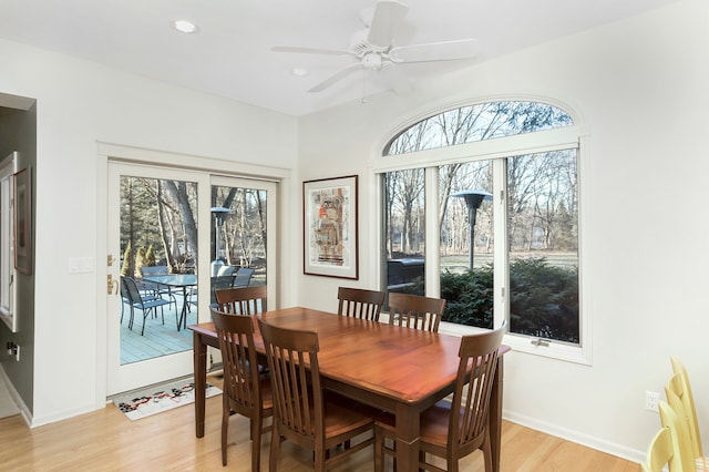 dining area with ceiling fan, a wealth of natural light, and light hardwood / wood-style floors