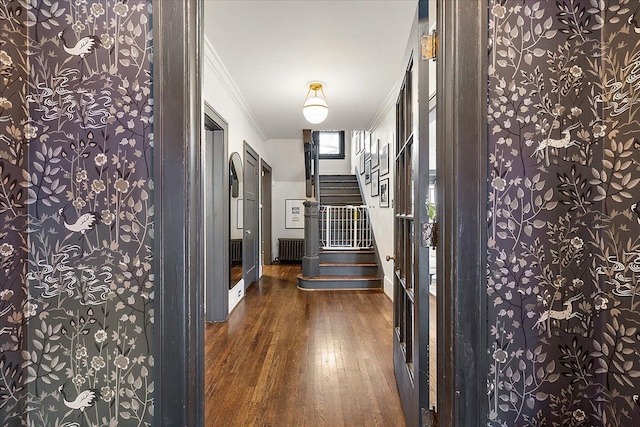 hallway with dark wood-type flooring, ornamental molding, and radiator