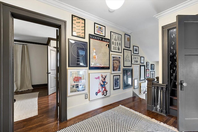 hall featuring ornamental molding and dark hardwood / wood-style floors