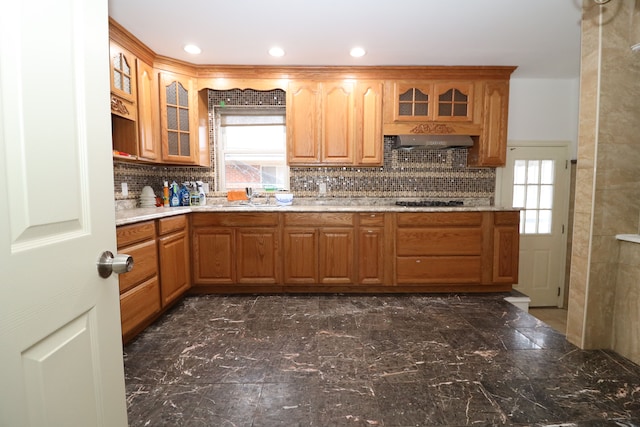 kitchen featuring tasteful backsplash, a wealth of natural light, and exhaust hood