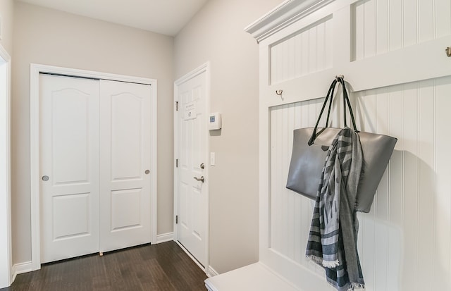 mudroom with dark wood-type flooring