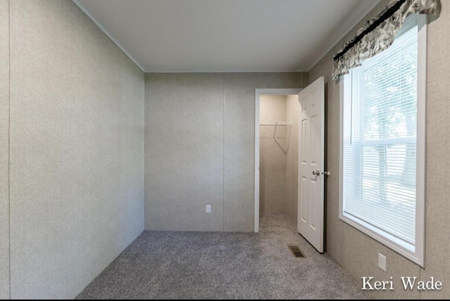 unfurnished bedroom featuring carpet flooring, a walk in closet, and a closet