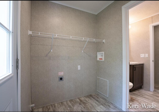 laundry room with washer hookup, hookup for an electric dryer, light wood-type flooring, and crown molding