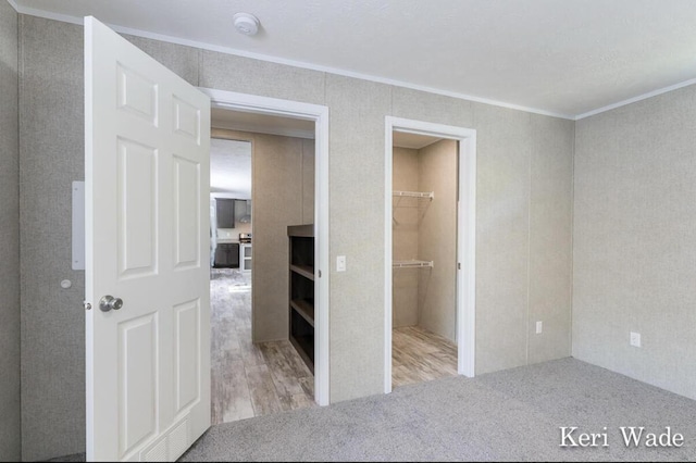 unfurnished bedroom with a spacious closet and ornamental molding