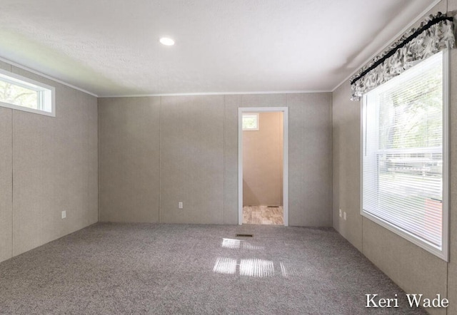 carpeted spare room featuring crown molding