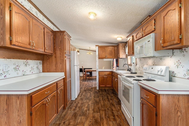 kitchen featuring sink, dark wood-type flooring, an inviting chandelier, a textured ceiling, and white appliances
