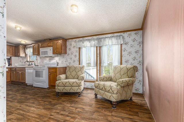 kitchen featuring sink, dark hardwood / wood-style flooring, crown molding, a textured ceiling, and white appliances