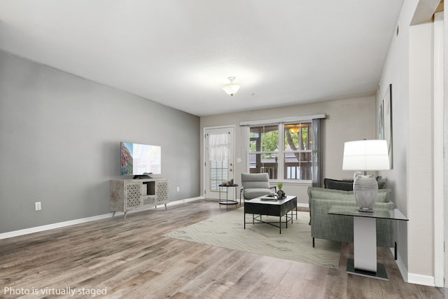 living room featuring hardwood / wood-style floors