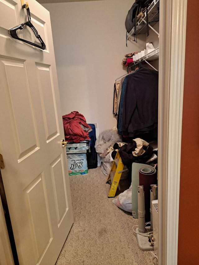 spacious closet featuring carpet floors