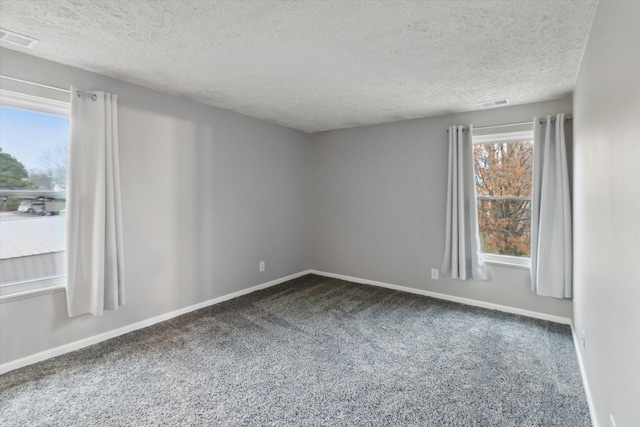 empty room with a wealth of natural light, carpet, and a textured ceiling