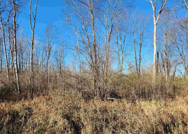 00 S Crawford Rd, Omer, MI 48749 - photo 3