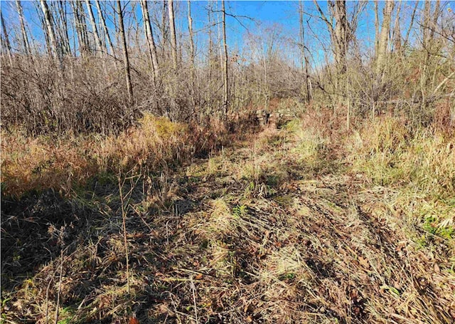 00 S Crawford Rd, Omer, MI 48749 - photo 4