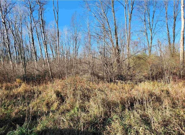 00 S Crawford Rd, Omer, MI 48749 - photo 5