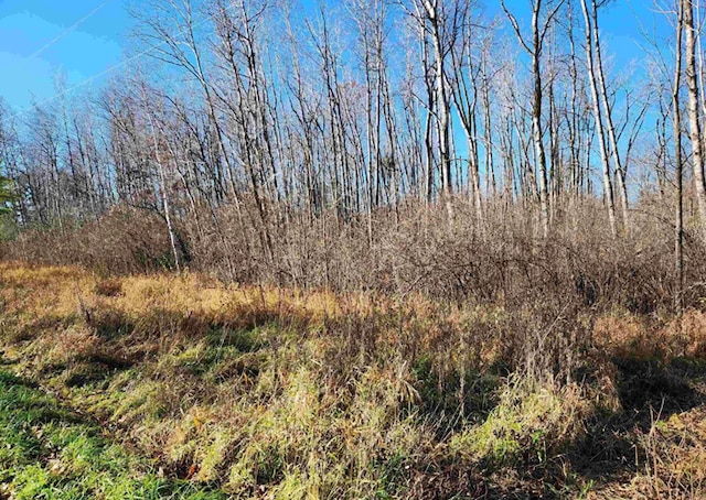 00 S Crawford Rd, Omer, MI 48749 - photo 6
