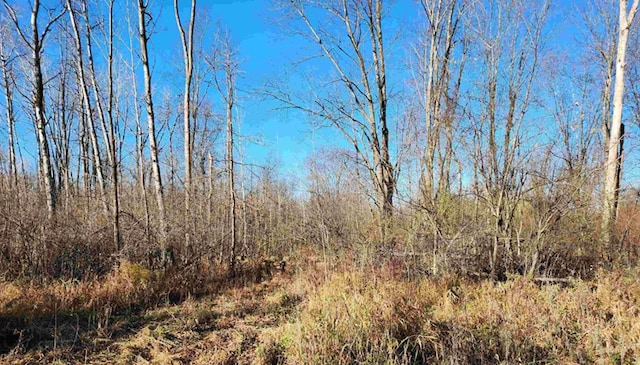 00 S Crawford Rd, Omer, MI 48749 - photo 8